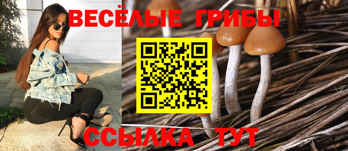Псилоцибиновые грибы ЛСД  Вход с VPN  Фрязино 