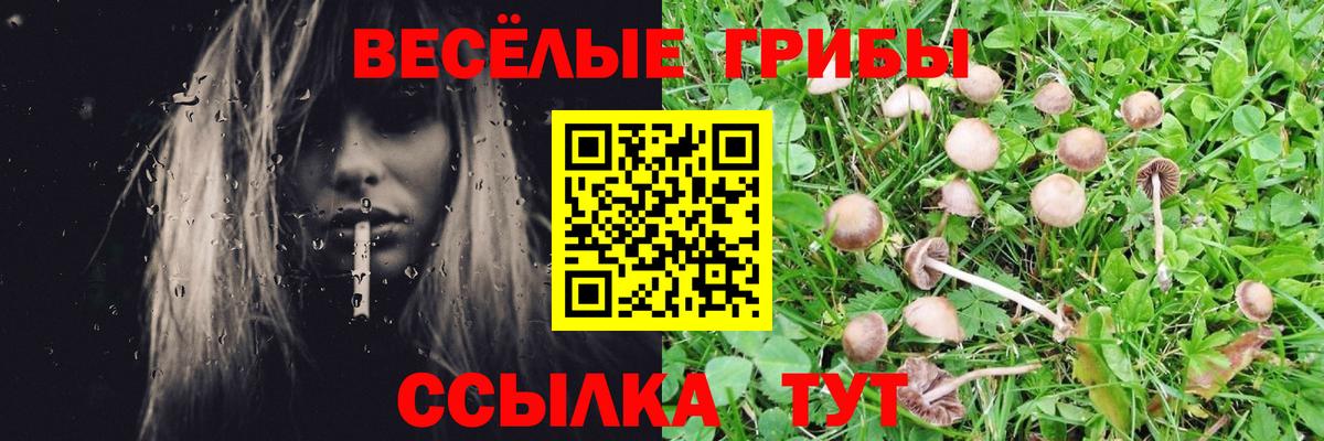 Псилоцибиновые грибы GOLDEN TEACHER Фрязино